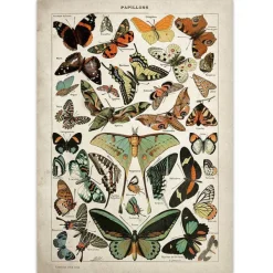 Posters / Tapestry*Boogzel Clothing Butterfly Vintage Poster