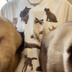 Aesthetic T-Shirts & Graphic Tees*Boogzel Clothing Cat Print Aesthetic T-Shirt