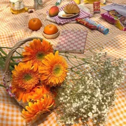Aesthetic Kitchen|Aesthetic Room Decor*Boogzel Clothing Cottagecore Aesthetic Gingham Tablecloth Orange
