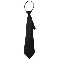 Other*Boogzel Clothing Dark Academia Tie Black