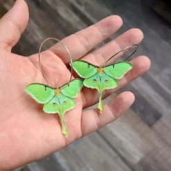 Earrings*Boogzel Clothing Eyed Butterfly Earrings Green