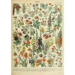 Posters / Tapestry*Boogzel Clothing Fleurs Vintage Poster