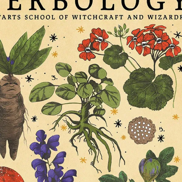 Posters / Tapestry*Boogzel Clothing Herbology Vintage Poster
