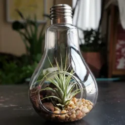 Flower Vases|Aesthetic Room Decor*Boogzel Clothing Light Bulb Hanging Vase