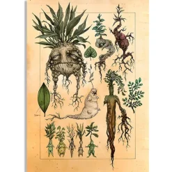 Posters / Tapestry*Boogzel Clothing Mandrake Vintage Poster