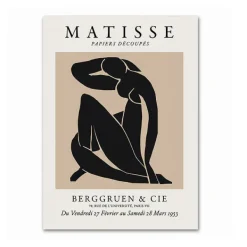 Posters / Tapestry*Boogzel Clothing Matisse The Cut-Outs Canvas Posters