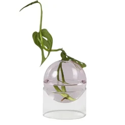 Flower Vases|Aesthetic Room Decor*Boogzel Clothing Mini Spherical Glass Vase