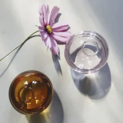 Flower Vases|Aesthetic Room Decor*Boogzel Clothing Mini Spherical Glass Vase