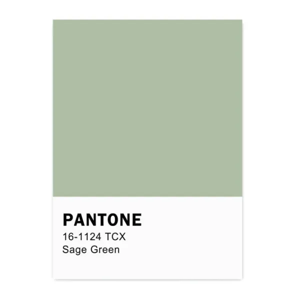 Posters / Tapestry|Aesthetic Room Decor*Boogzel Clothing Sage Green & Pink Canvas Posters