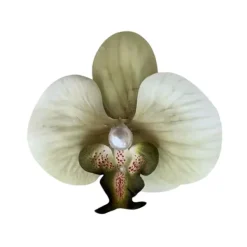 Hair Accessories*Boogzel Clothing Tropical Orchid Hair Clip