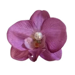Hair Accessories*Boogzel Clothing Tropical Orchid Hair Clip