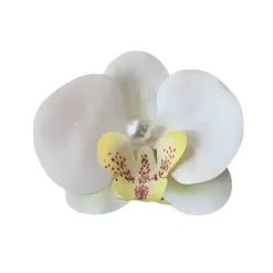Hair Accessories*Boogzel Clothing Tropical Orchid Hair Clip