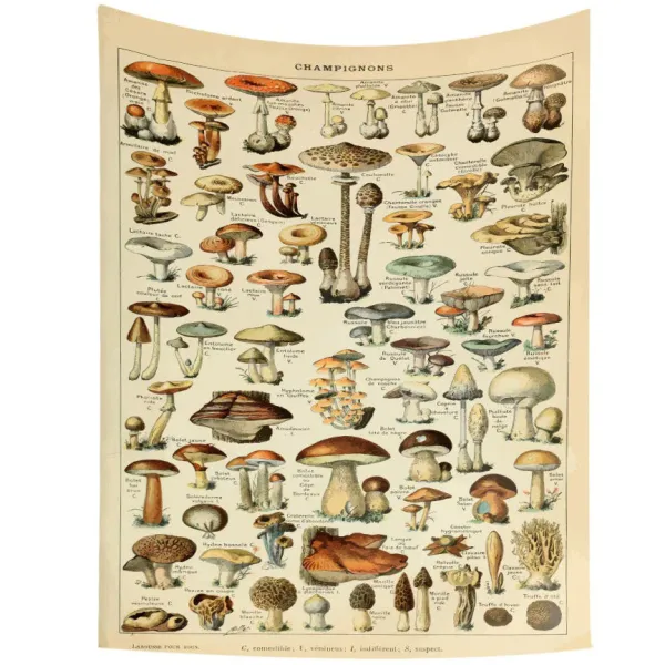 Posters / Tapestry*Boogzel Clothing Vintage Aesthetic Mushrooms Wall Tapestry