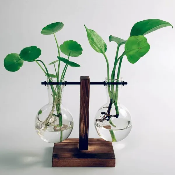 Flower Vases|Aesthetic Room Decor*Boogzel Clothing Vintage Lab Beaker Vase